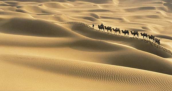 desierto