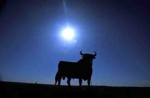 toro