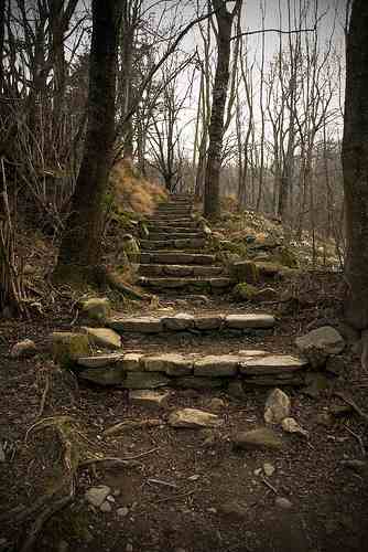 escaleras
