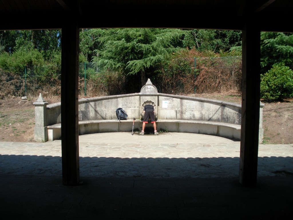 fuente del camino de santiago