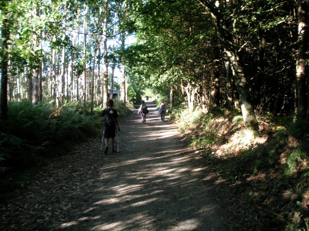 camino de santiago