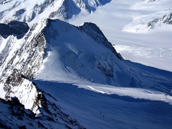 gross grünhorn
