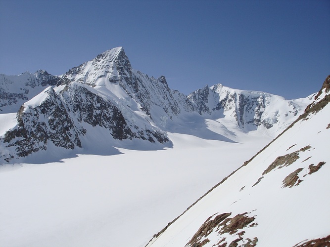 gross grünhorn