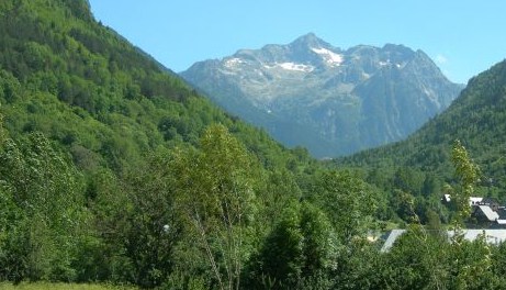 montardo