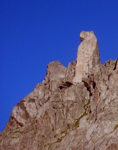 mussol de tumeneia